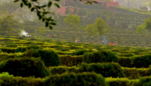 1649210670693323.png 绿化.png