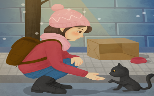 1642571794538222.png 猫.png