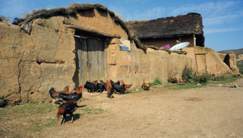 1643181722634048.png 老家.png