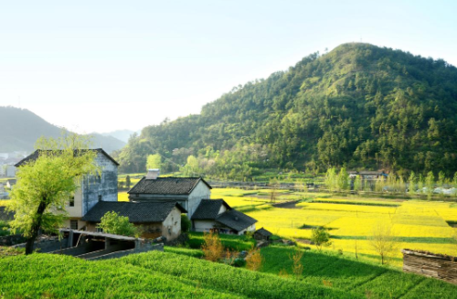 1644477878406176.png 房产1.png