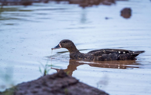 1646366275957134.png 生态.png