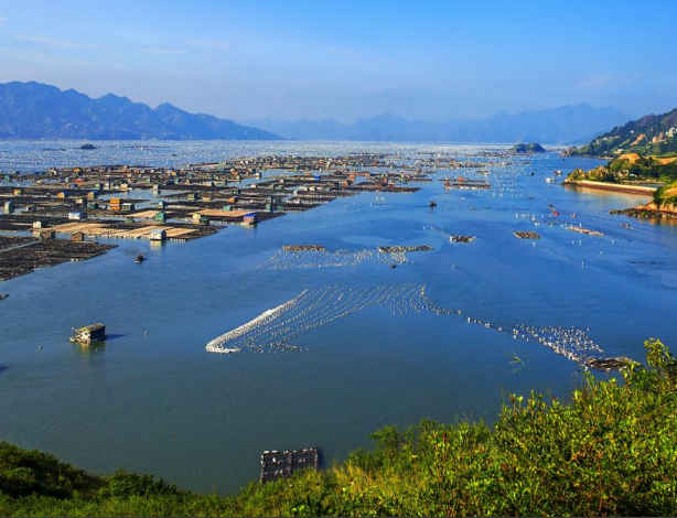 工厂购工业盐腌制海蜇被处罚 反怪卖盐的 法院：责任自担-图1